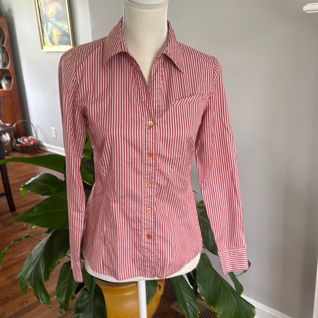 Tiny Stripes Tailored Button Down